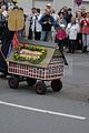 altenburg-trachtenfest-03-06-2012 (93)